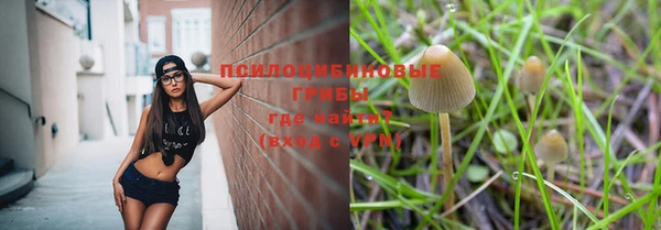 круглые Алексеевка