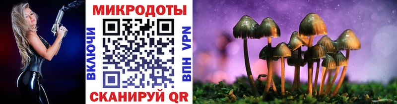 купить  цена  Цоци-Юрт  Галлюциногенные грибы ЛСД 